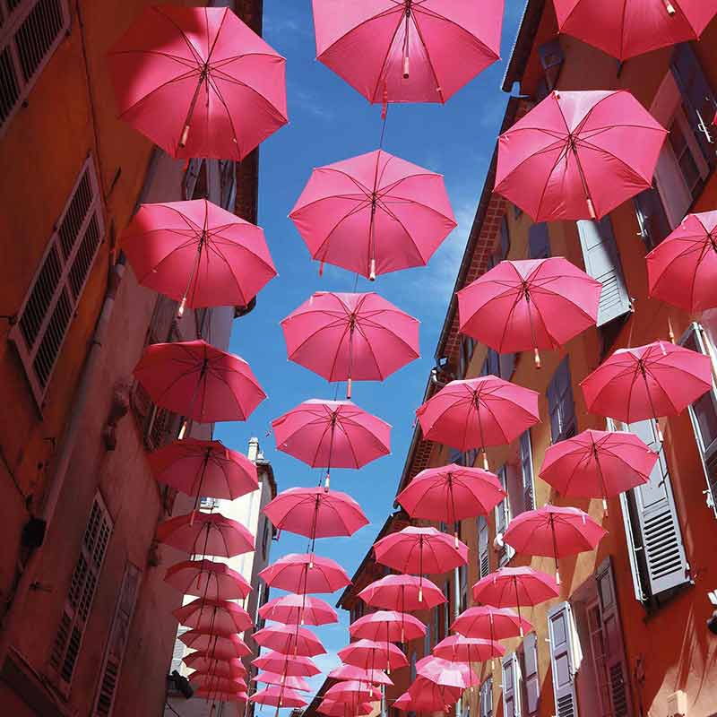 grasse capitale du parfum